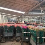 WhatsApp Image 2026-02-10 at 11.33.24 AM