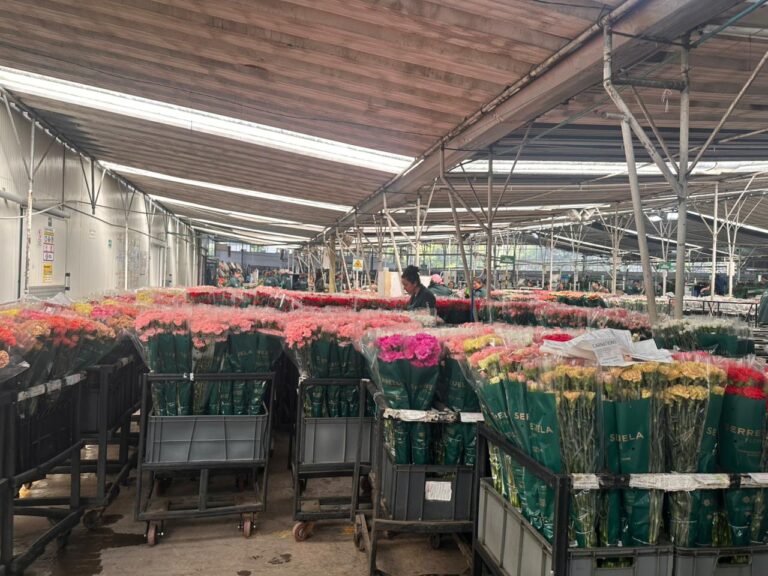 WhatsApp Image 2026-02-10 at 11.33.24 AM