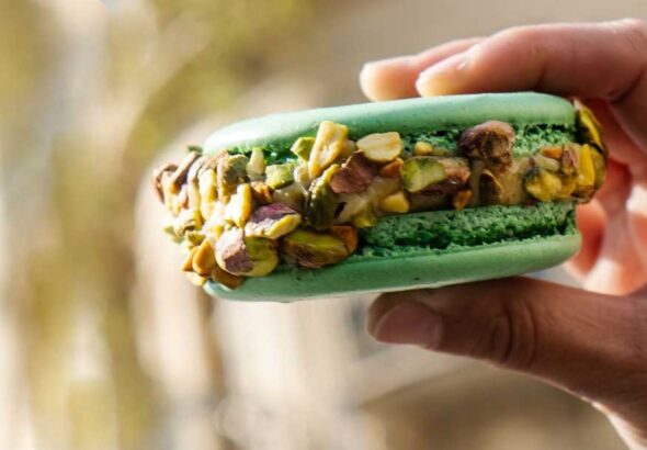 lucullus2025-1500x610