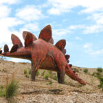 IMG_0608-copia-scaled