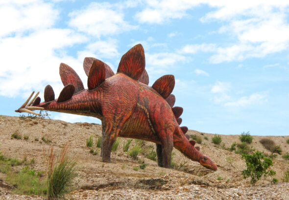 IMG_0608-copia-scaled