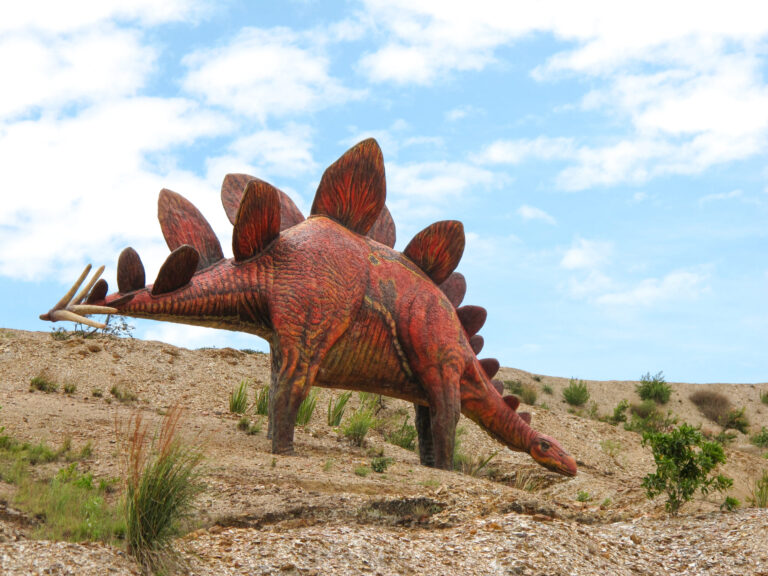 IMG_0608-copia-scaled